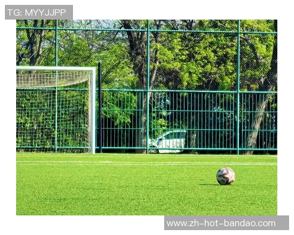 足球弹头的崛起与挑战解析如何在绿茵场上实现个人与团队的完美结合